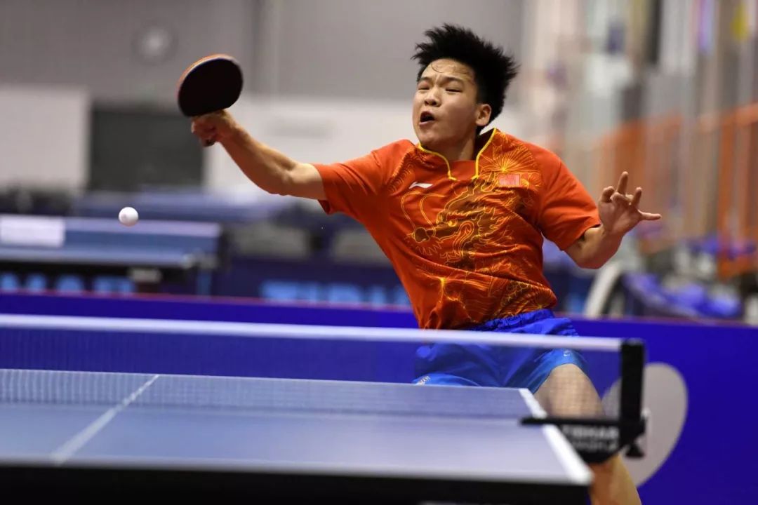 迷和媒體的 迷和媒體的